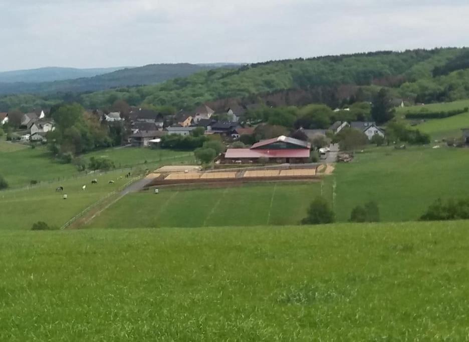 "Die Jockeysuite" Auf Unserem Reiterhof Birkenbeul Dış mekan fotoğraf
