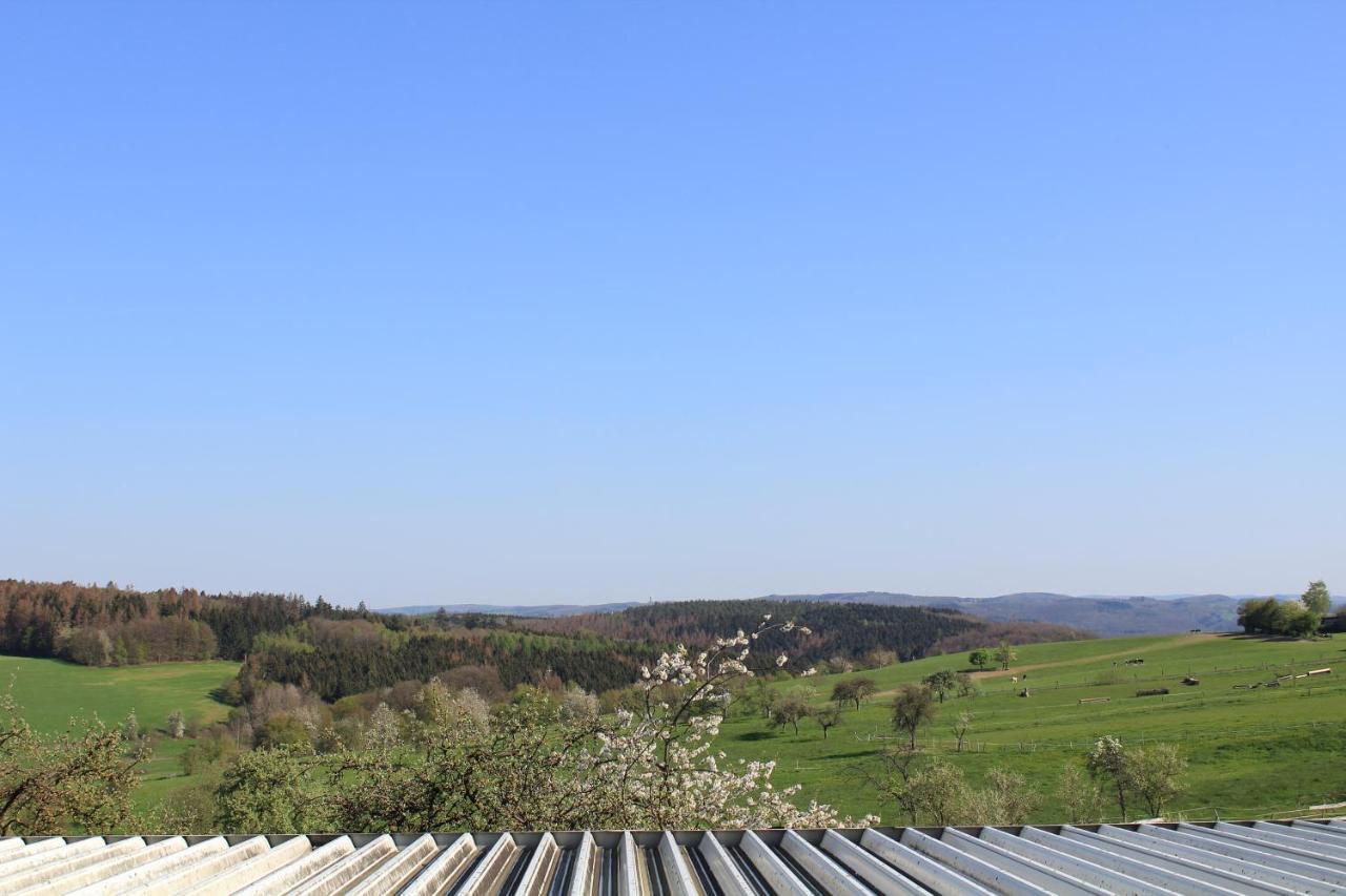 "Die Jockeysuite" Auf Unserem Reiterhof Birkenbeul Dış mekan fotoğraf